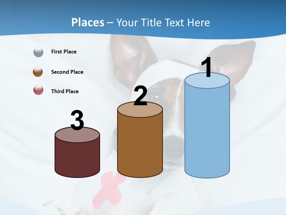 Pain Fever Sleep PowerPoint Template