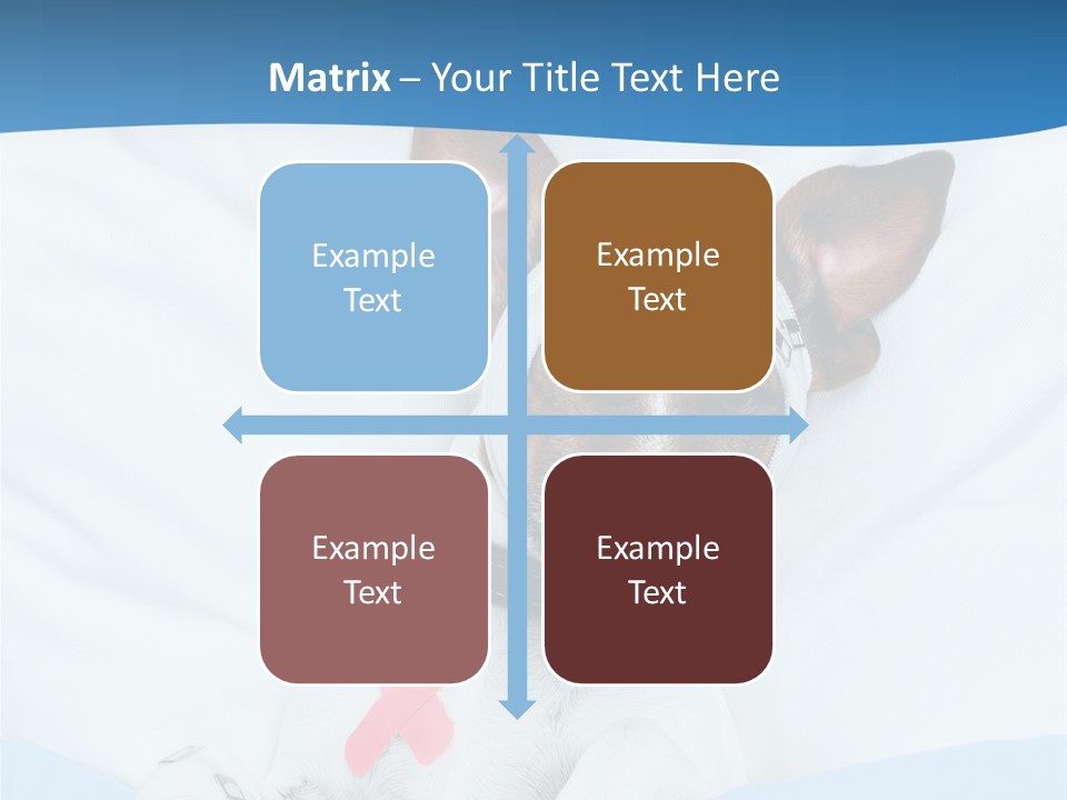 Pain Fever Sleep PowerPoint Template