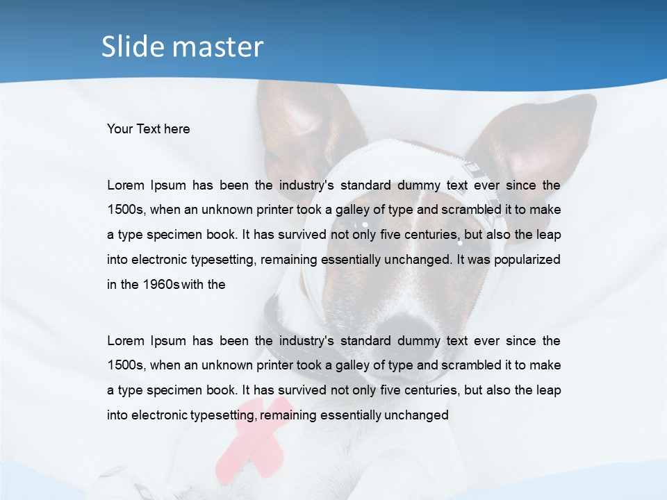 Pain Fever Sleep PowerPoint Template