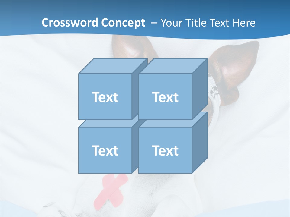 Pain Fever Sleep PowerPoint Template