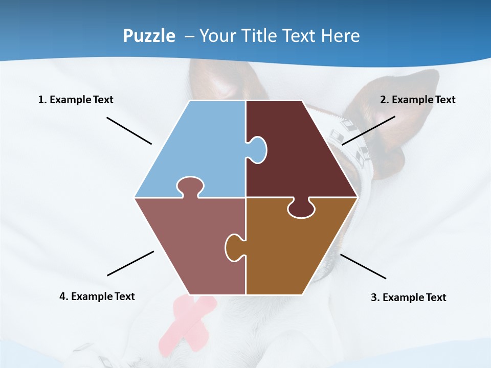 Pain Fever Sleep PowerPoint Template