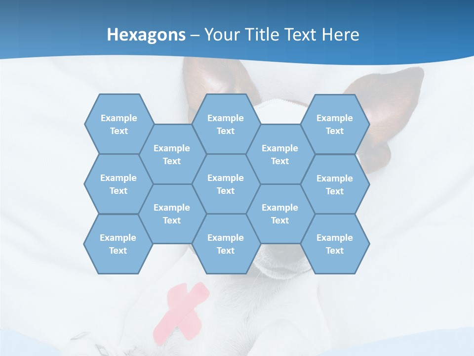 Pain Fever Sleep PowerPoint Template