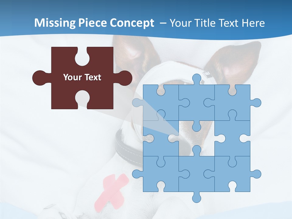 Pain Fever Sleep PowerPoint Template