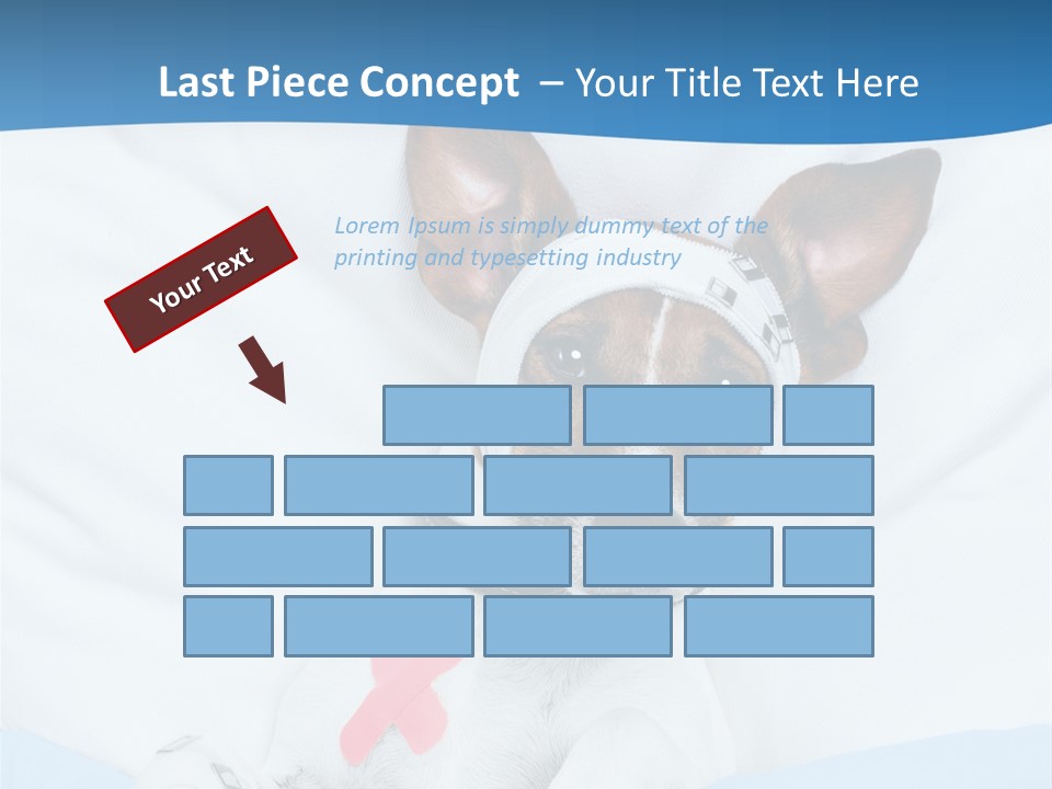 Pain Fever Sleep PowerPoint Template