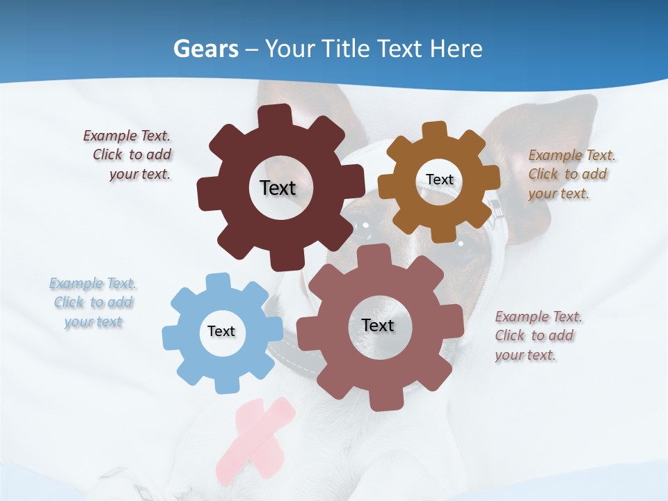 Pain Fever Sleep PowerPoint Template