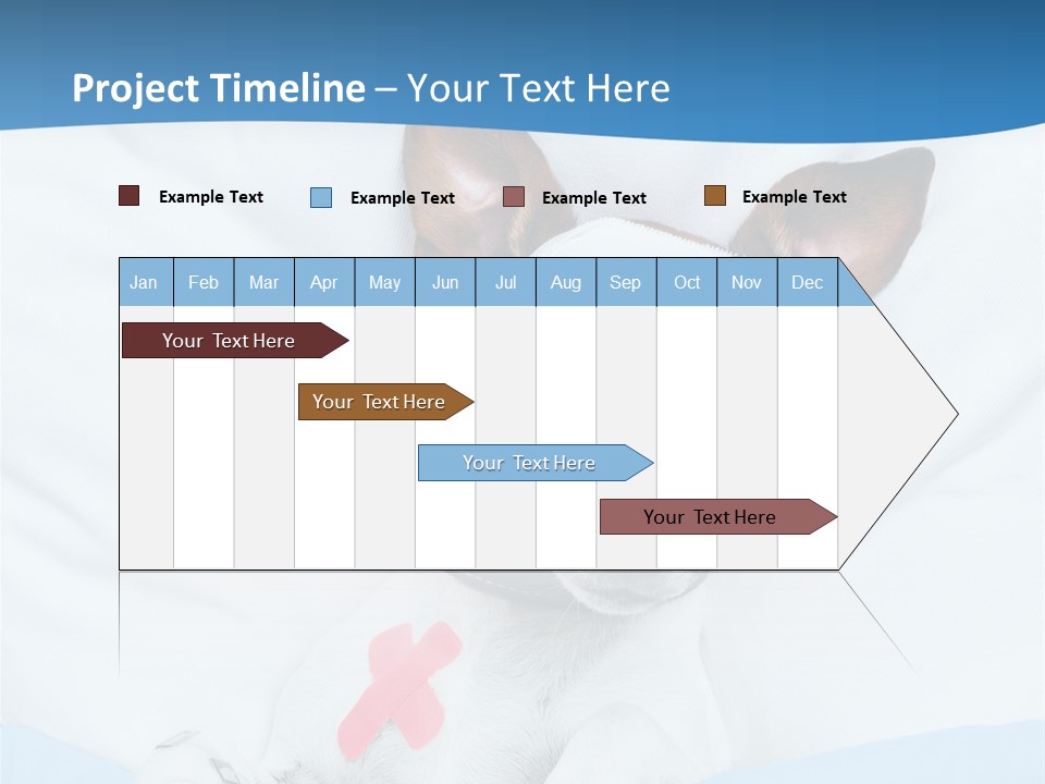 Pain Fever Sleep PowerPoint Template