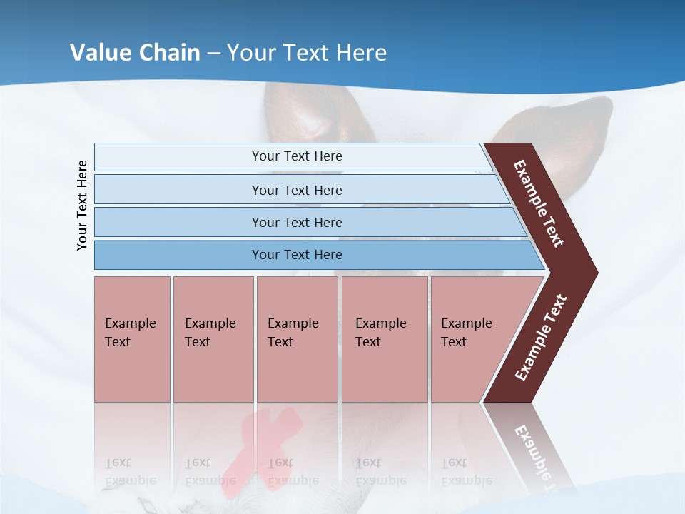 Pain Fever Sleep PowerPoint Template