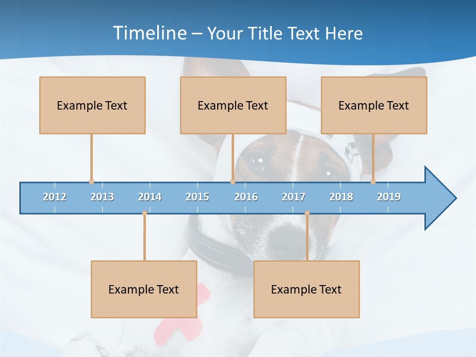 Pain Fever Sleep PowerPoint Template