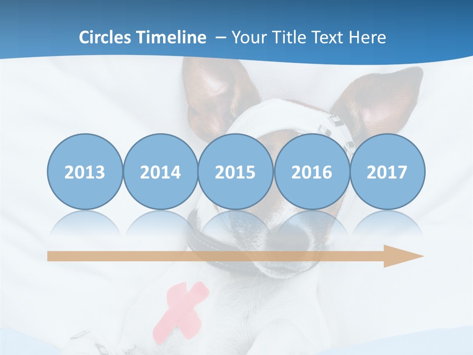 Pain Fever Sleep PowerPoint Template