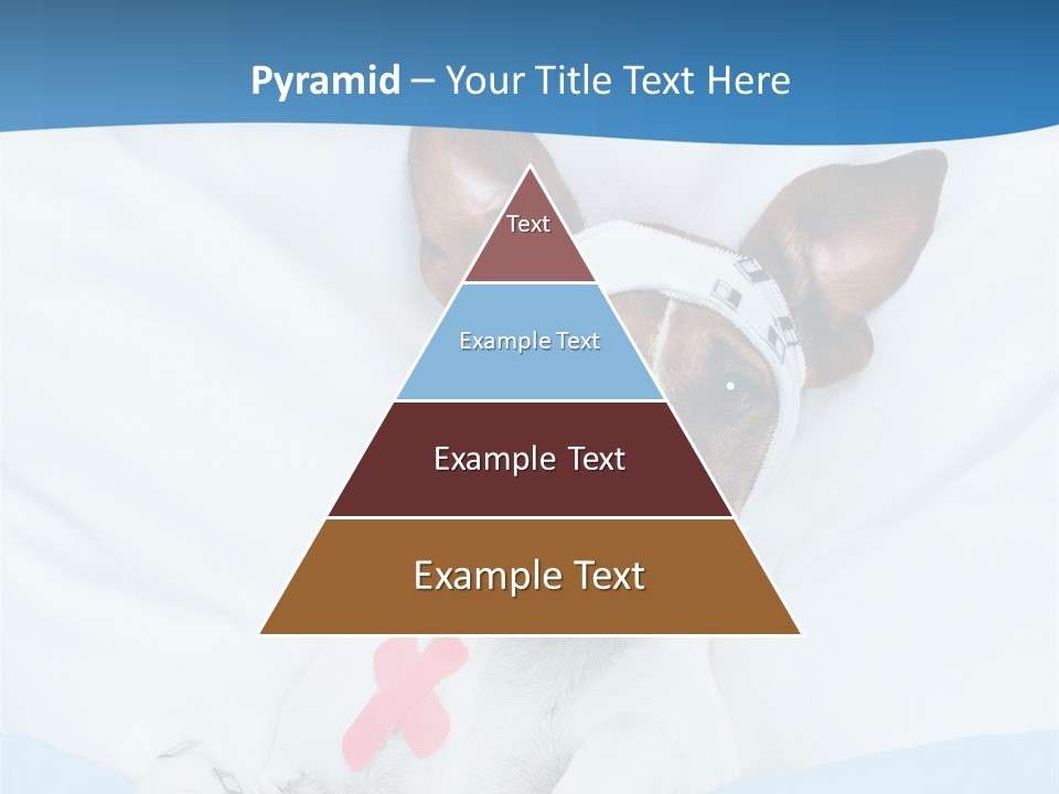 Pain Fever Sleep PowerPoint Template