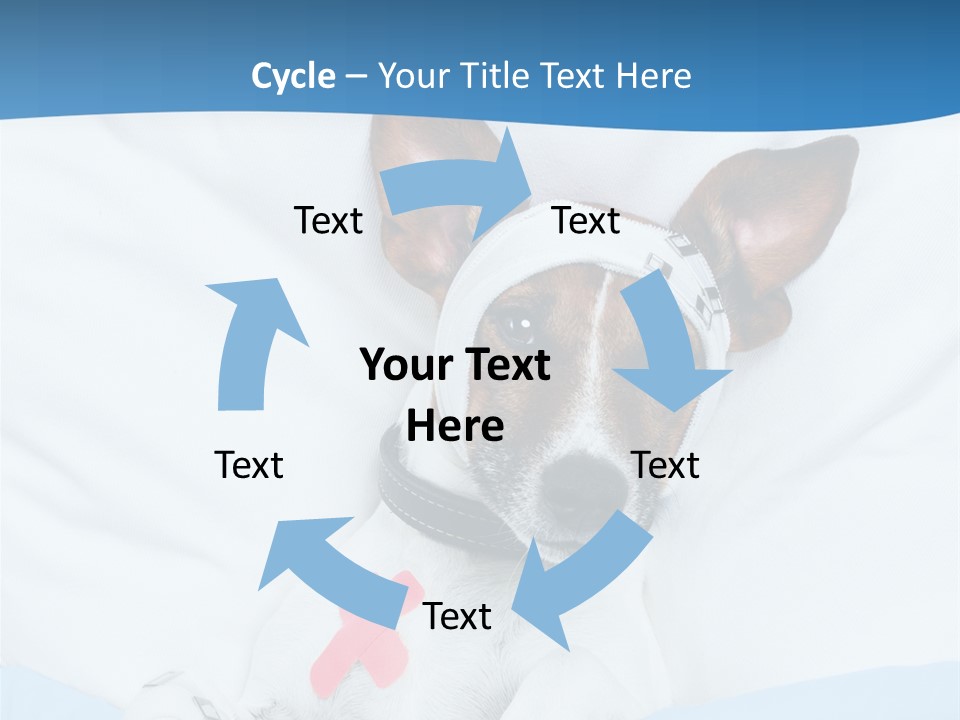 Pain Fever Sleep PowerPoint Template