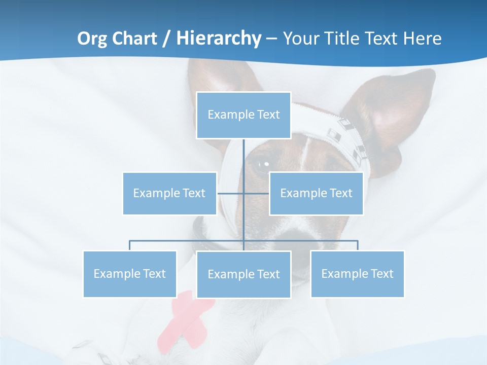 Pain Fever Sleep PowerPoint Template