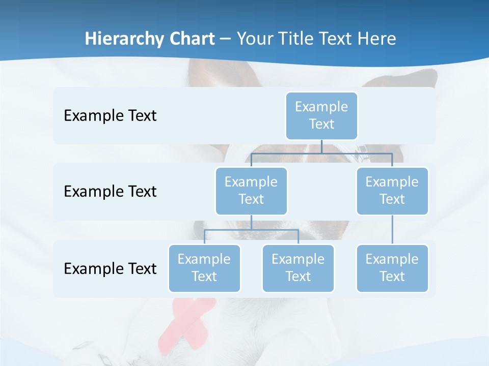 Pain Fever Sleep PowerPoint Template