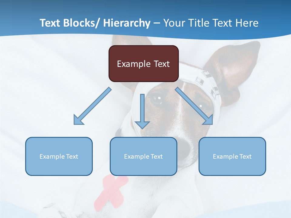 Pain Fever Sleep PowerPoint Template