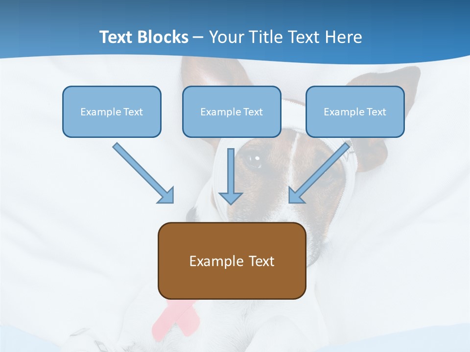 Pain Fever Sleep PowerPoint Template
