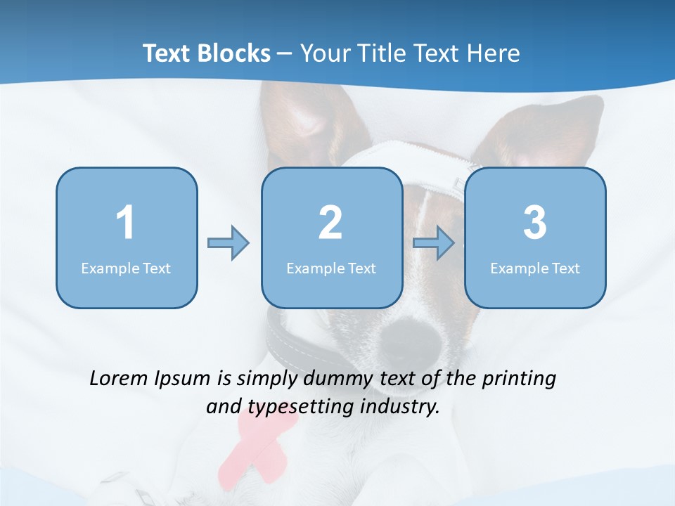 Pain Fever Sleep PowerPoint Template