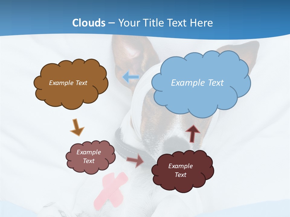 Pain Fever Sleep PowerPoint Template