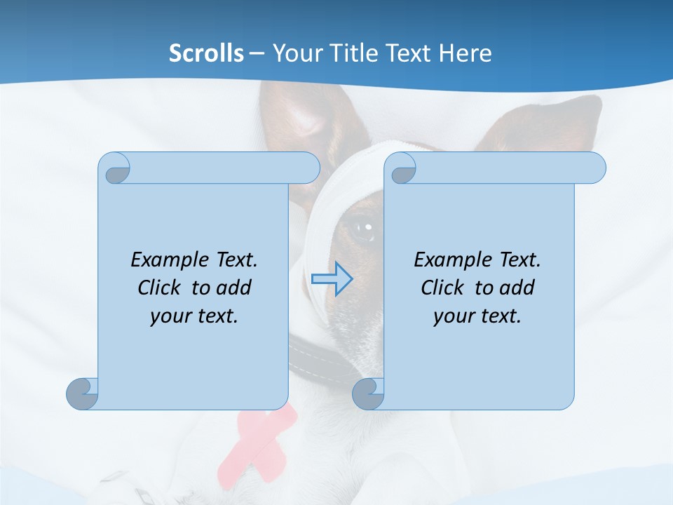 Pain Fever Sleep PowerPoint Template