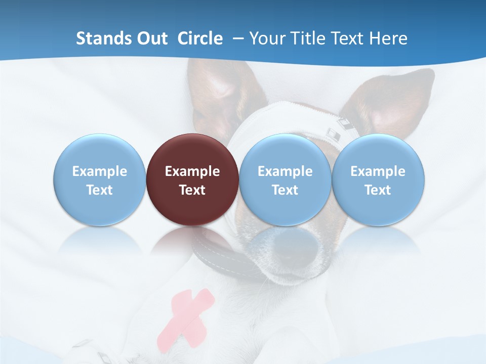 Pain Fever Sleep PowerPoint Template