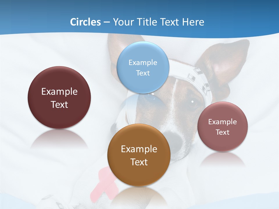 Pain Fever Sleep PowerPoint Template