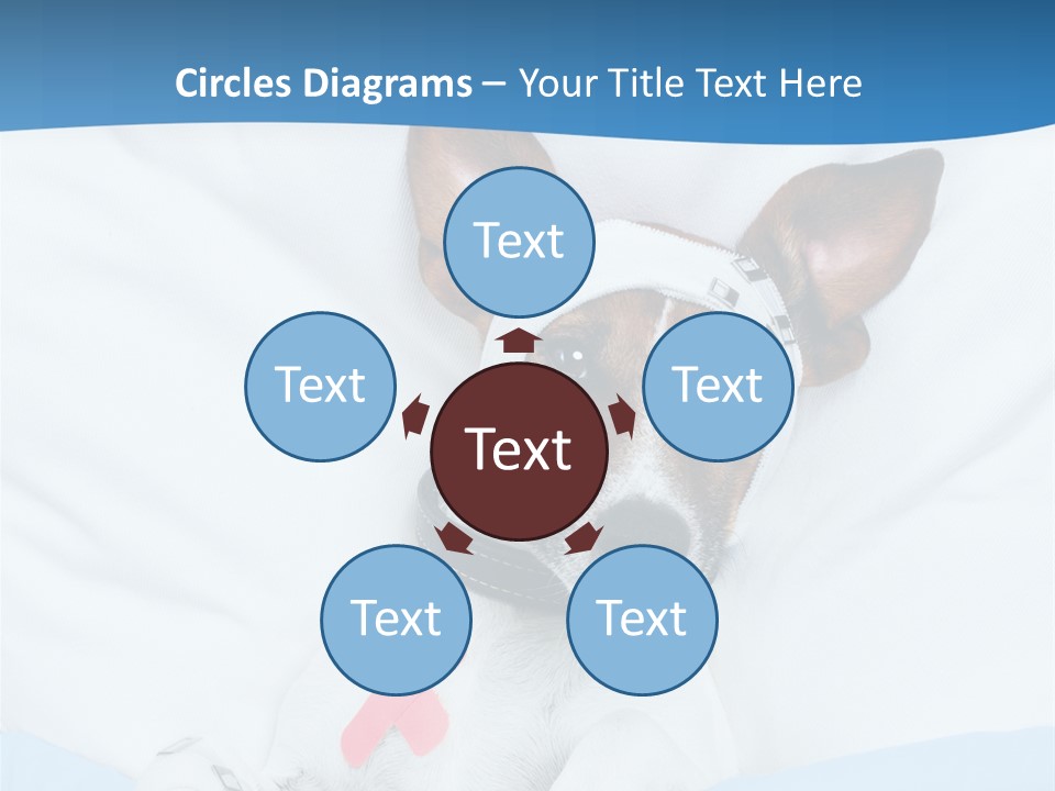 Pain Fever Sleep PowerPoint Template