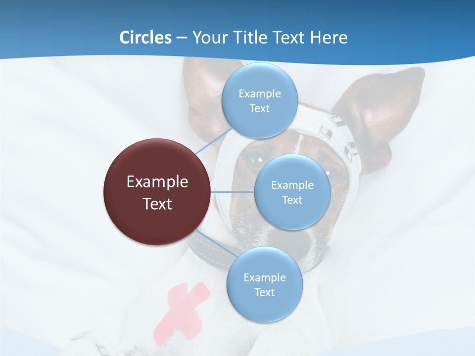 Pain Fever Sleep PowerPoint Template