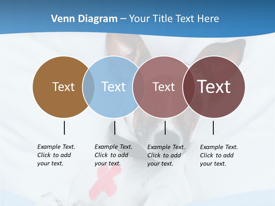 Pain Fever Sleep PowerPoint Template