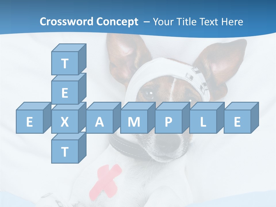 Pain Fever Sleep PowerPoint Template