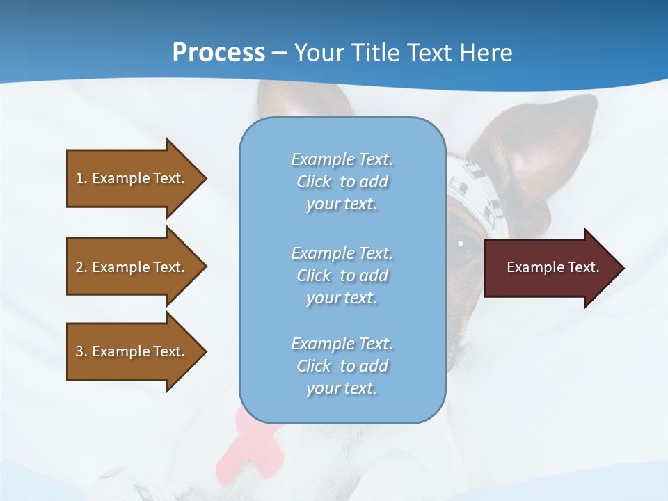 Pain Fever Sleep PowerPoint Template