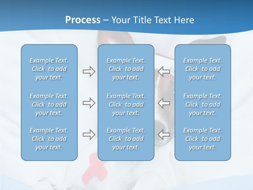 Pain Fever Sleep PowerPoint Template