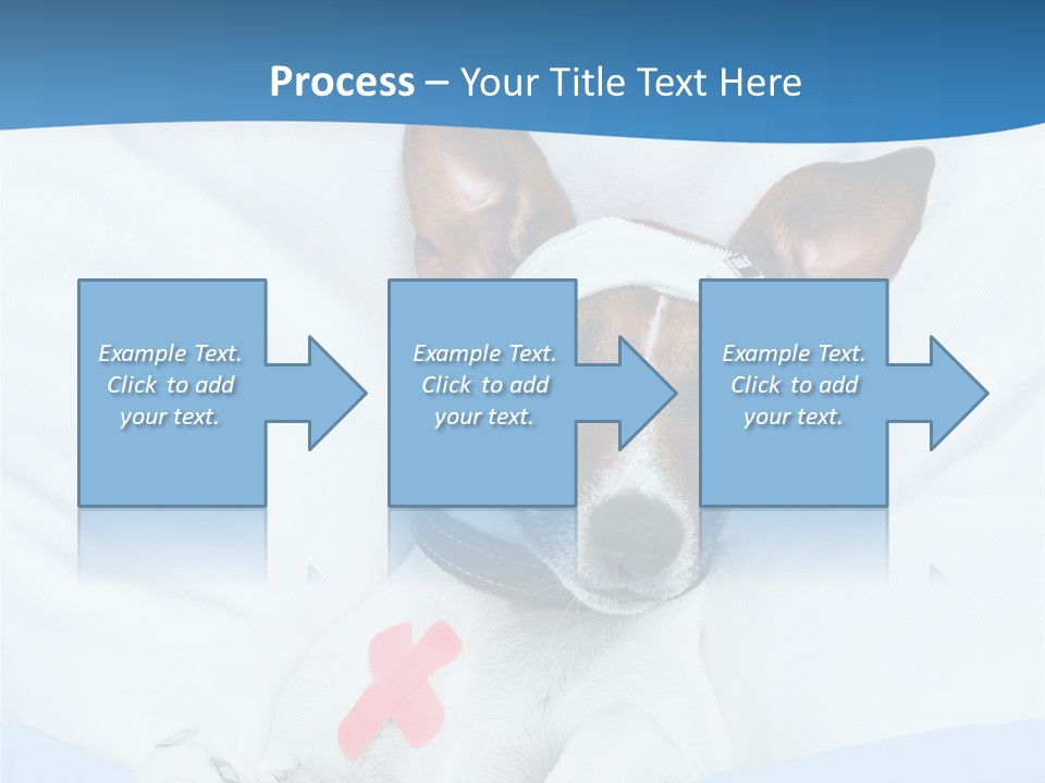 Pain Fever Sleep PowerPoint Template