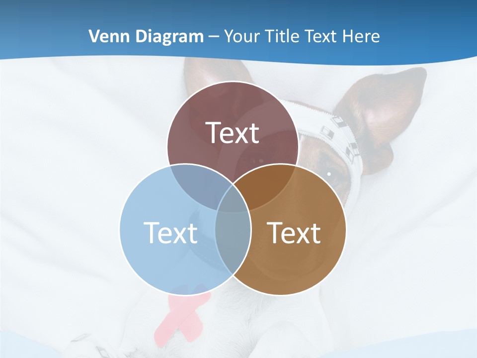 Pain Fever Sleep PowerPoint Template