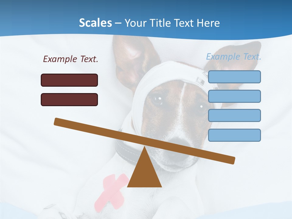 Pain Fever Sleep PowerPoint Template