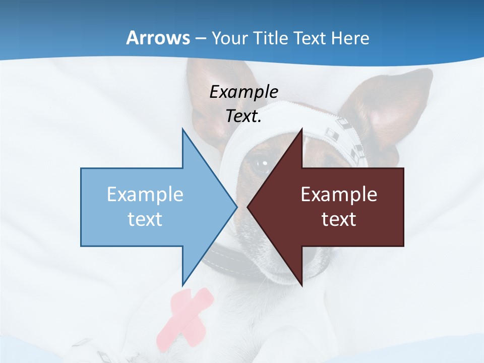 Pain Fever Sleep PowerPoint Template