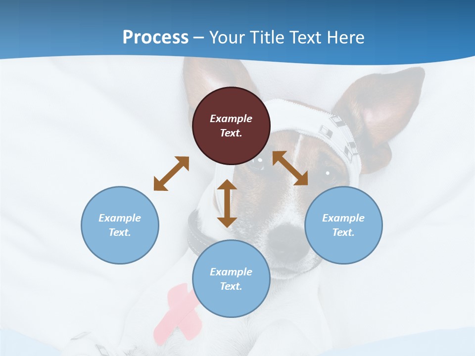 Pain Fever Sleep PowerPoint Template