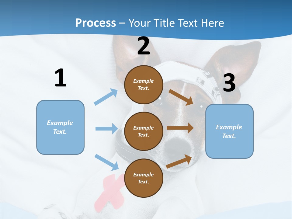 Pain Fever Sleep PowerPoint Template
