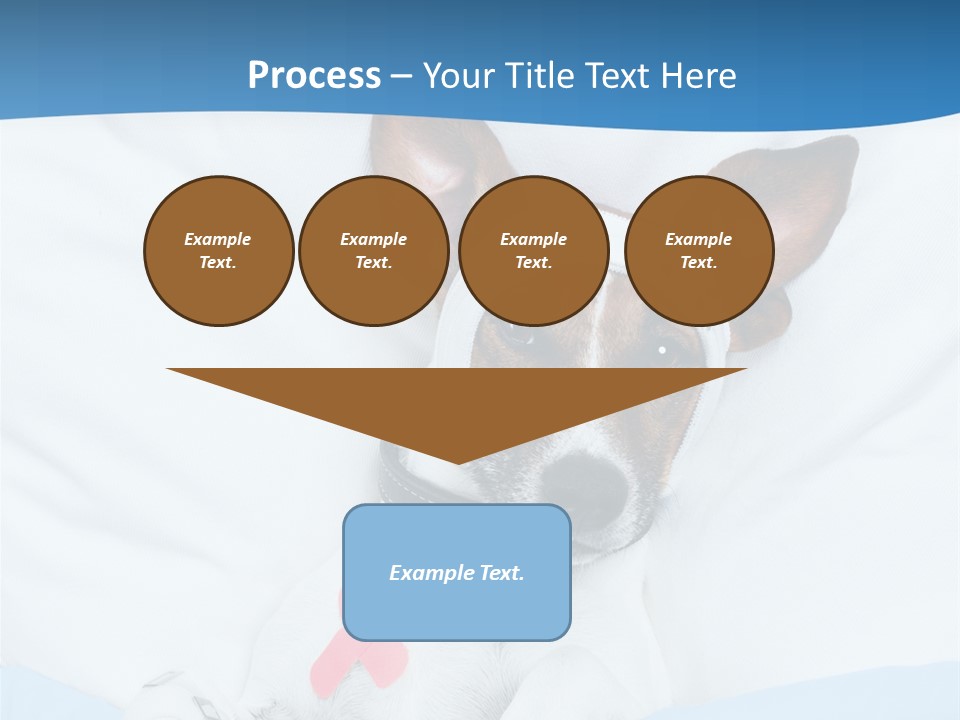 Pain Fever Sleep PowerPoint Template