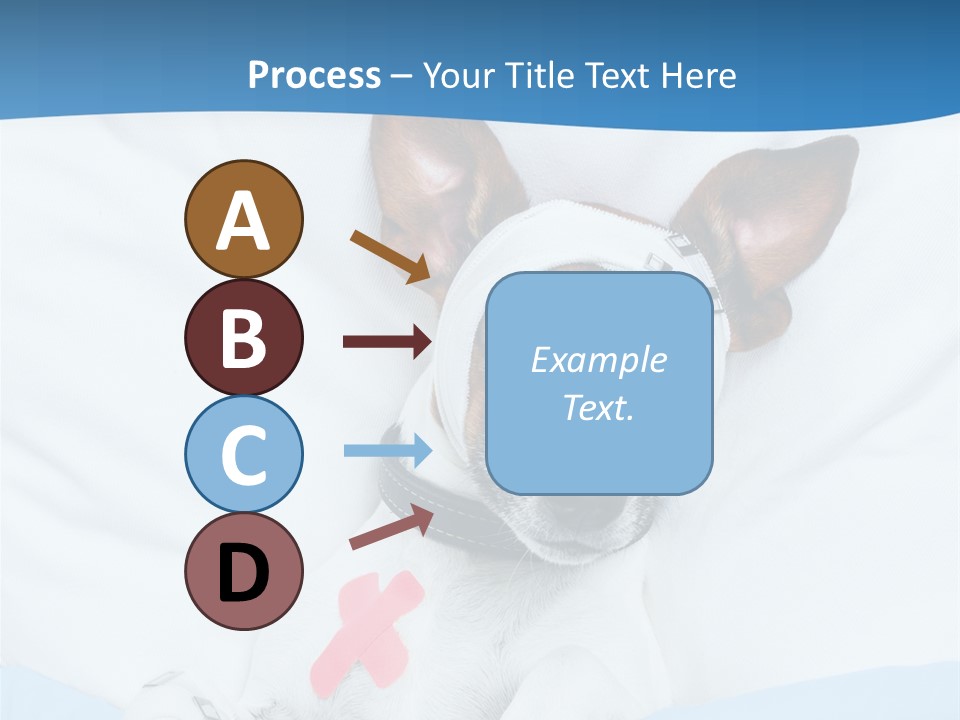 Pain Fever Sleep PowerPoint Template