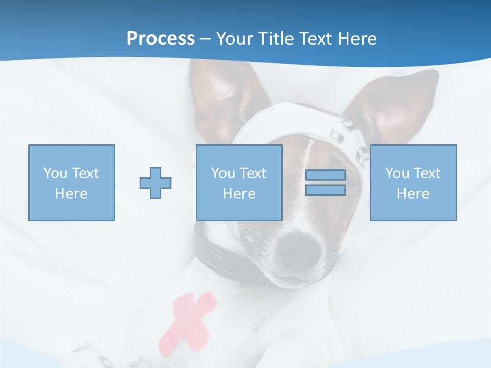 Pain Fever Sleep PowerPoint Template