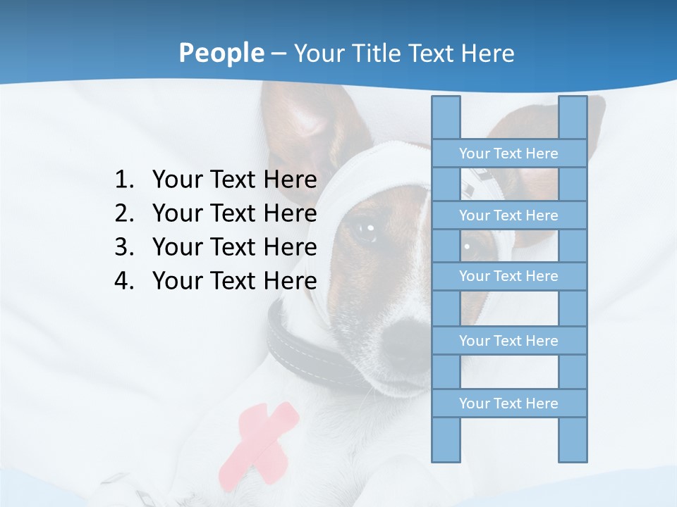 Pain Fever Sleep PowerPoint Template