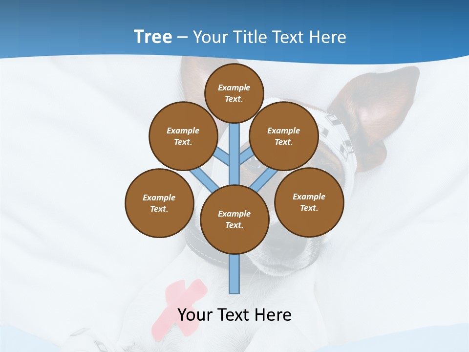 Pain Fever Sleep PowerPoint Template