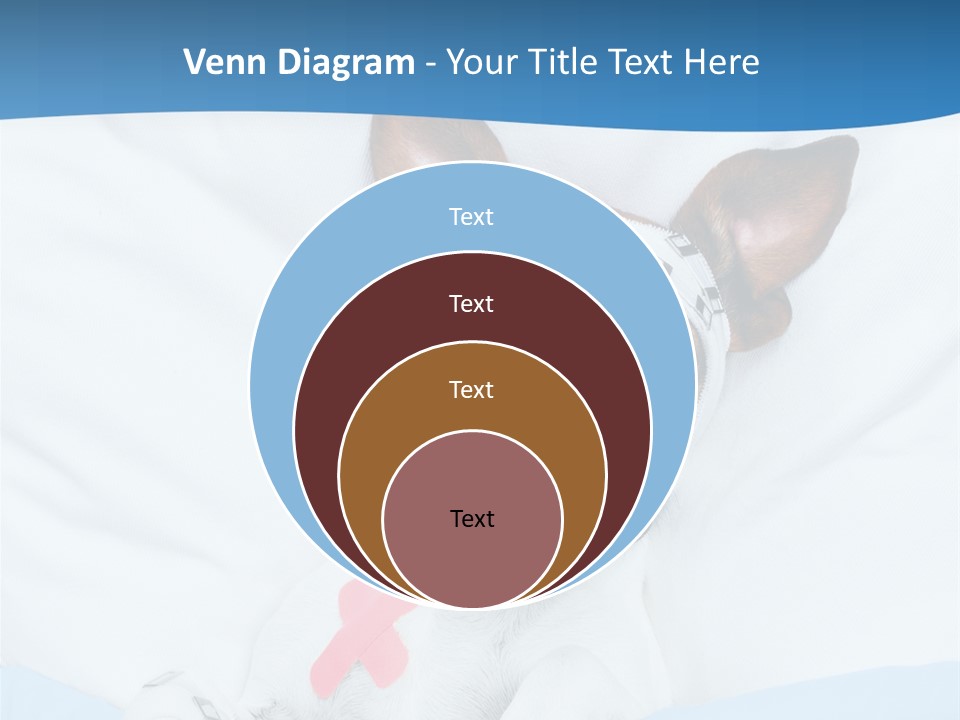 Pain Fever Sleep PowerPoint Template