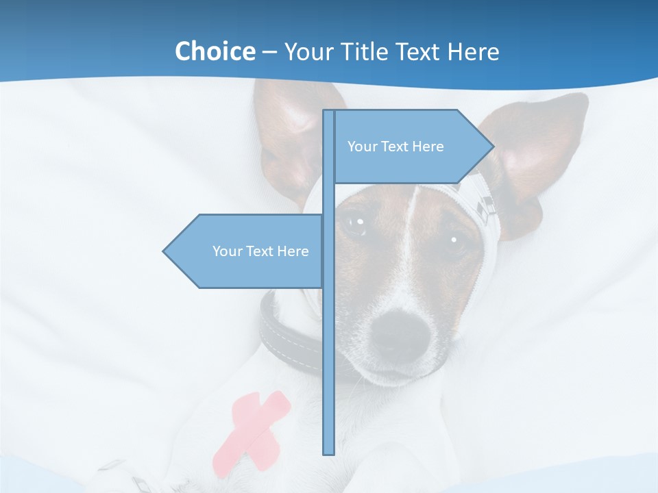 Pain Fever Sleep PowerPoint Template