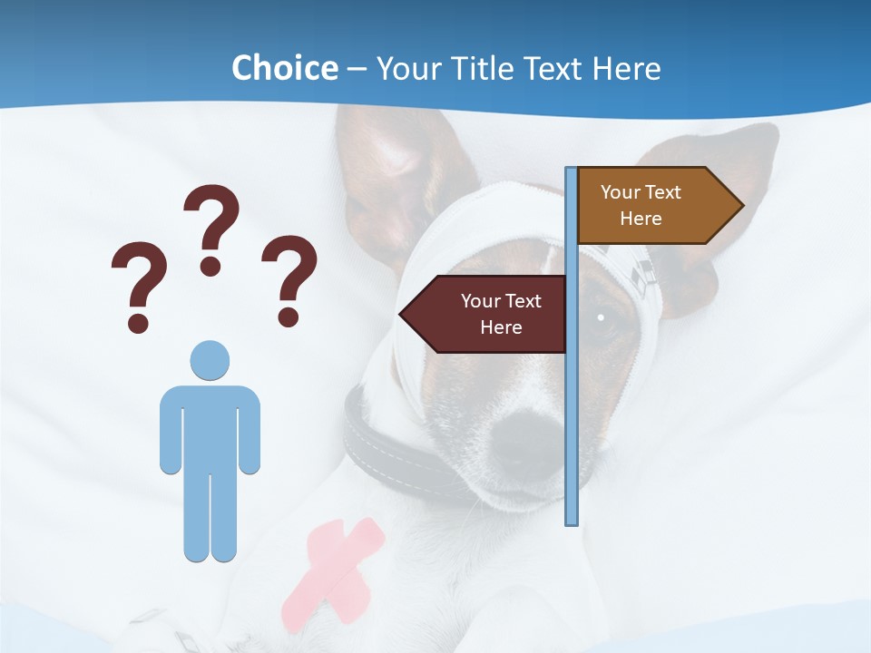 Pain Fever Sleep PowerPoint Template