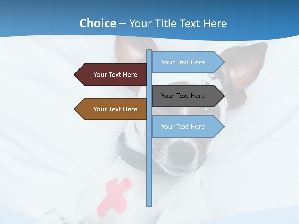 Pain Fever Sleep PowerPoint Template