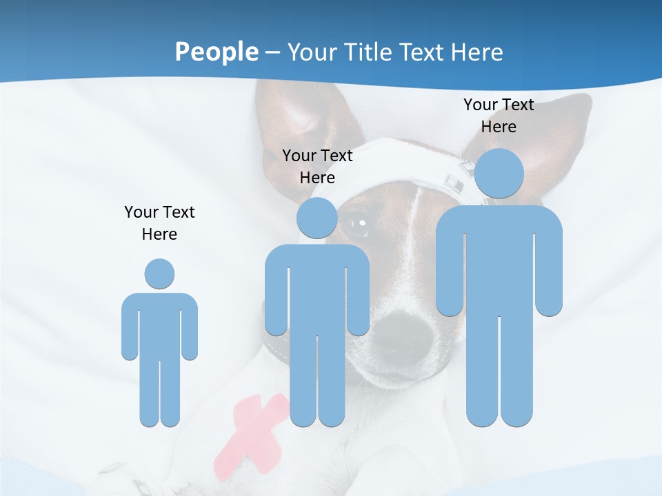 Pain Fever Sleep PowerPoint Template