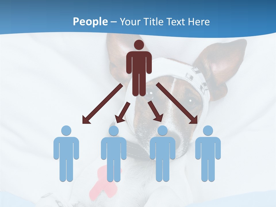 Pain Fever Sleep PowerPoint Template