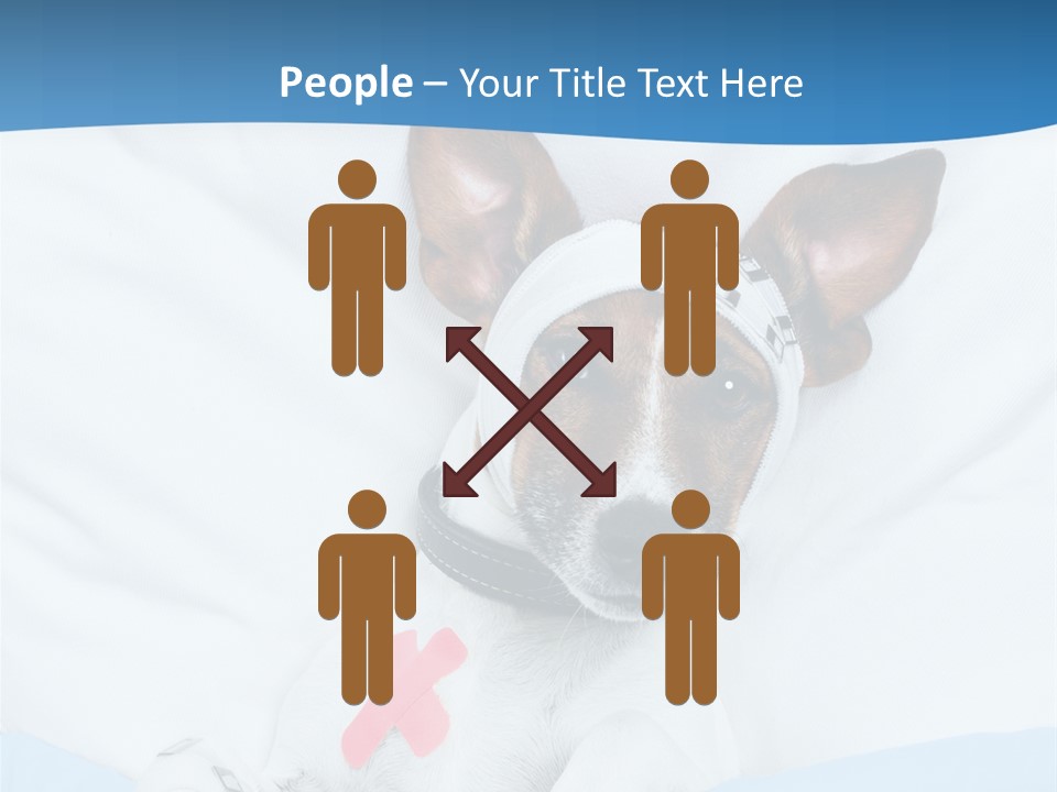 Pain Fever Sleep PowerPoint Template