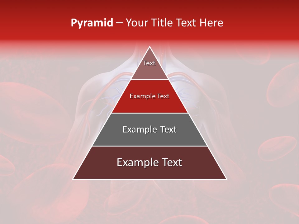 Chambers Cava Health PowerPoint Template