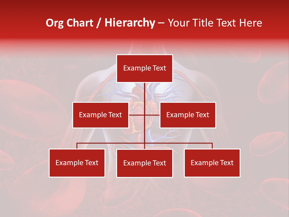 Chambers Cava Health PowerPoint Template